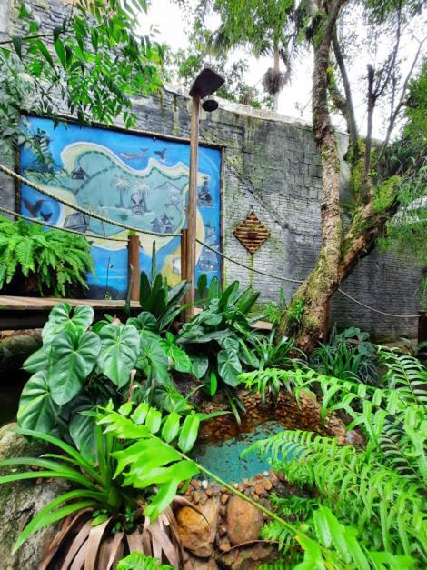 Pousada Piratas Do Embau Guarda do Embaú Exterior foto